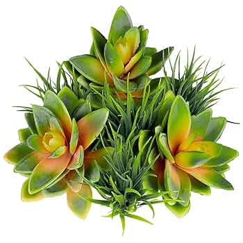 フェイク　多肉植物 Amazon.co.jp: SEEKO 多肉植物 - プレミアムフェイク多肉植物